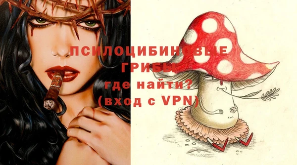 спиды Россошь