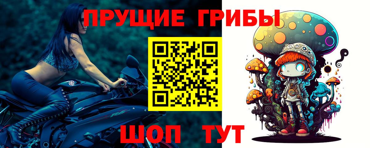 Псилоцибиновые грибы MAGIC MUSHROOMS Волжск