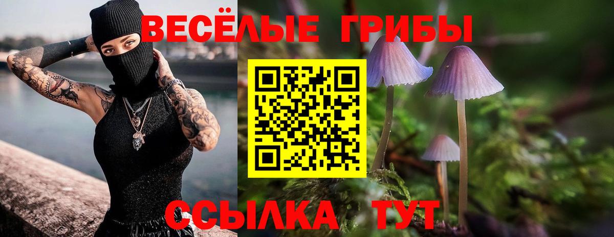 Галлюциногенные грибы Psilocybe  Вход с VPN  Волжск 